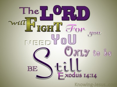 Exodus 14:14 The Lord Will Fight For You (purple)